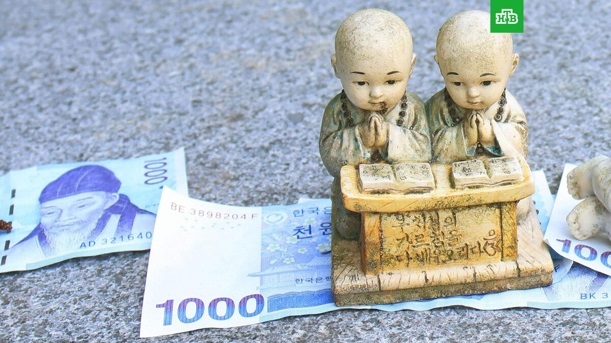    Фото: martin bennie / unsplash.com