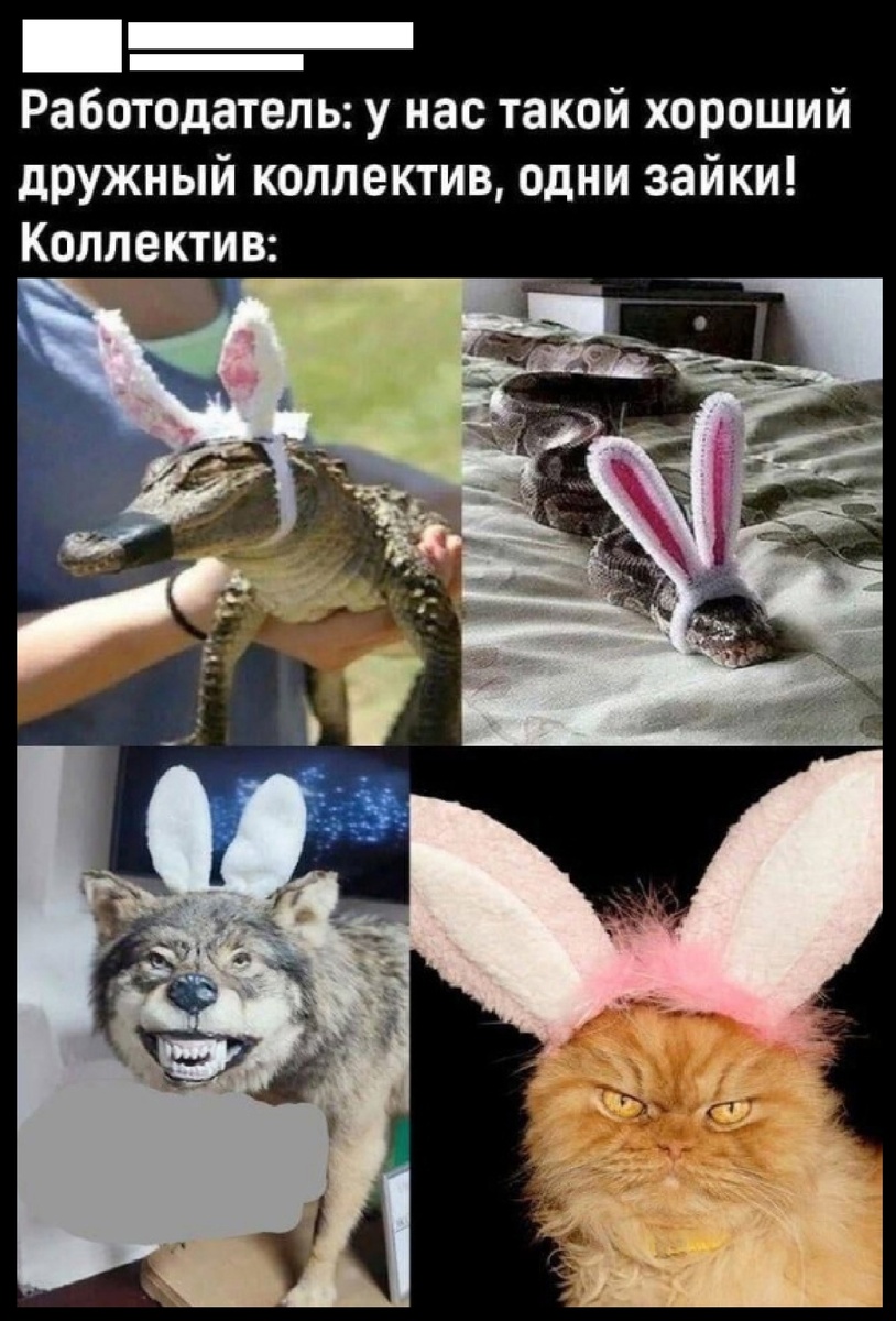 Фото из сети интернет