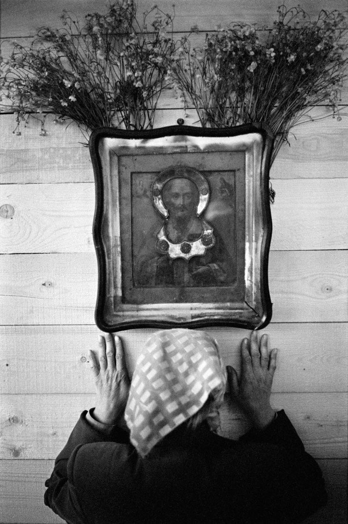 Фото из открытых источников Яндекс