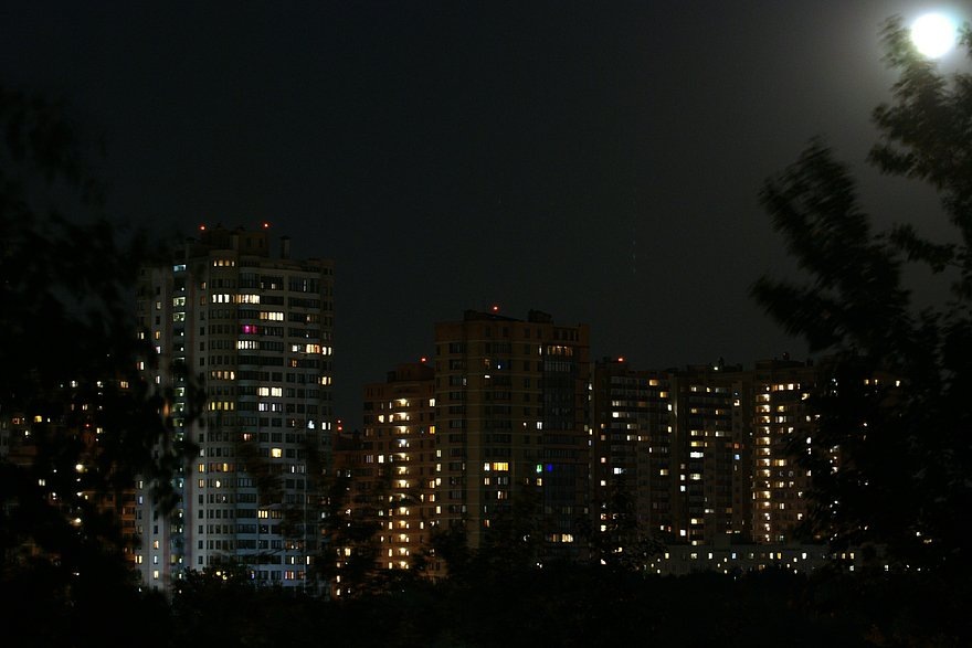    Фото: Alexander Legky / Globallookpress.com