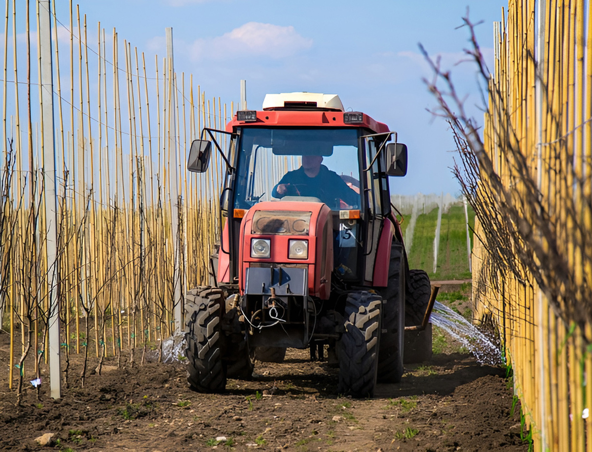 Идет полив саженцев в ОАО «Сады Карачаево-Черкесии»