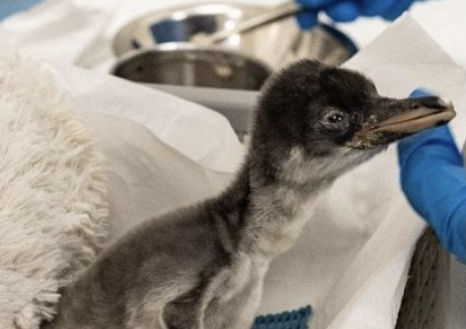 Фото: asianews.network