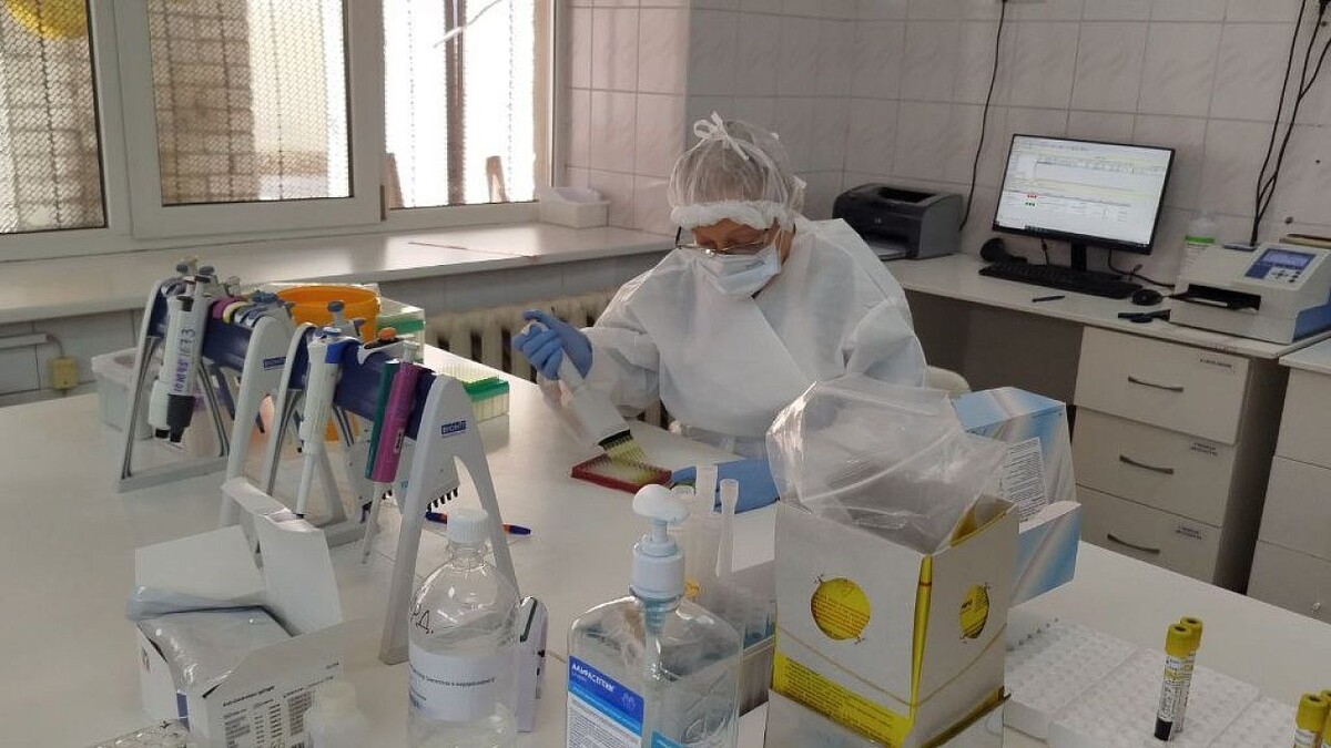    Фото: телеканал «Краснодар»