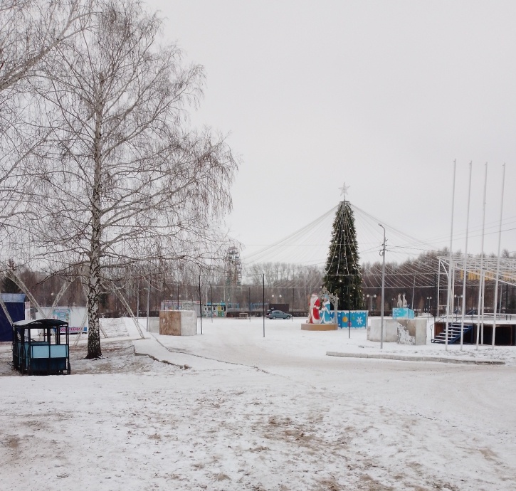 В городском парке установили ëлку