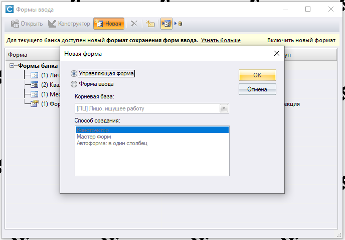 рис. 1 Создание формы