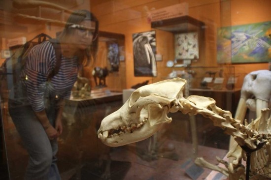    Фото: Кирилл Искольдский