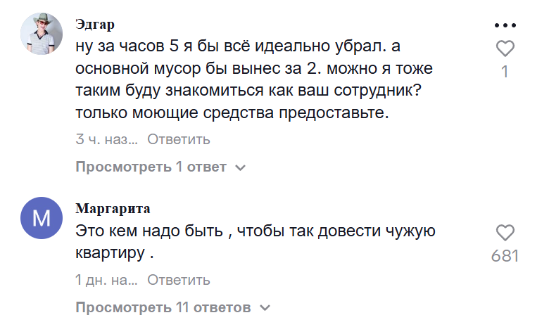    Скриншот: chistula_svt / TikTok