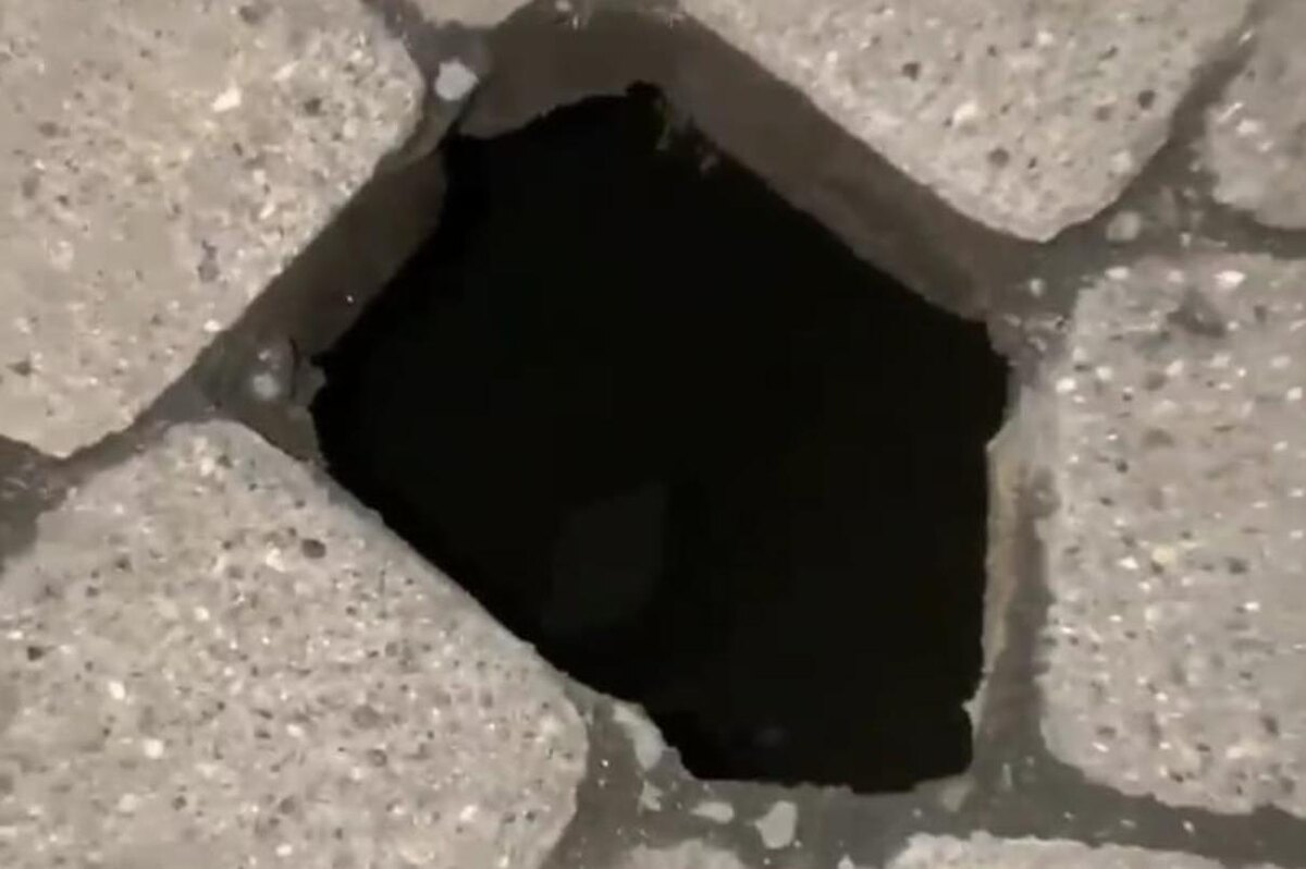 Фото: Утренний Юг