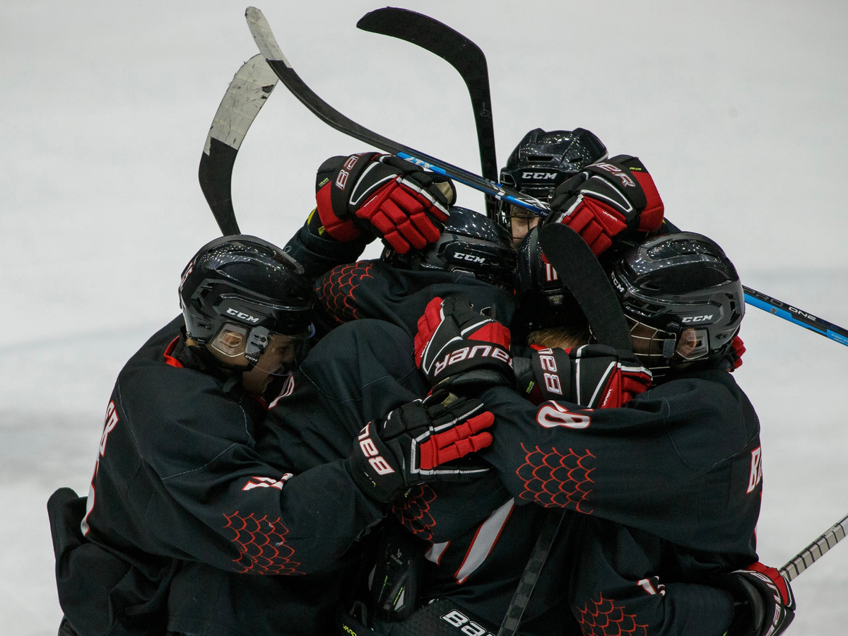 Фото: ХК "Воевода"