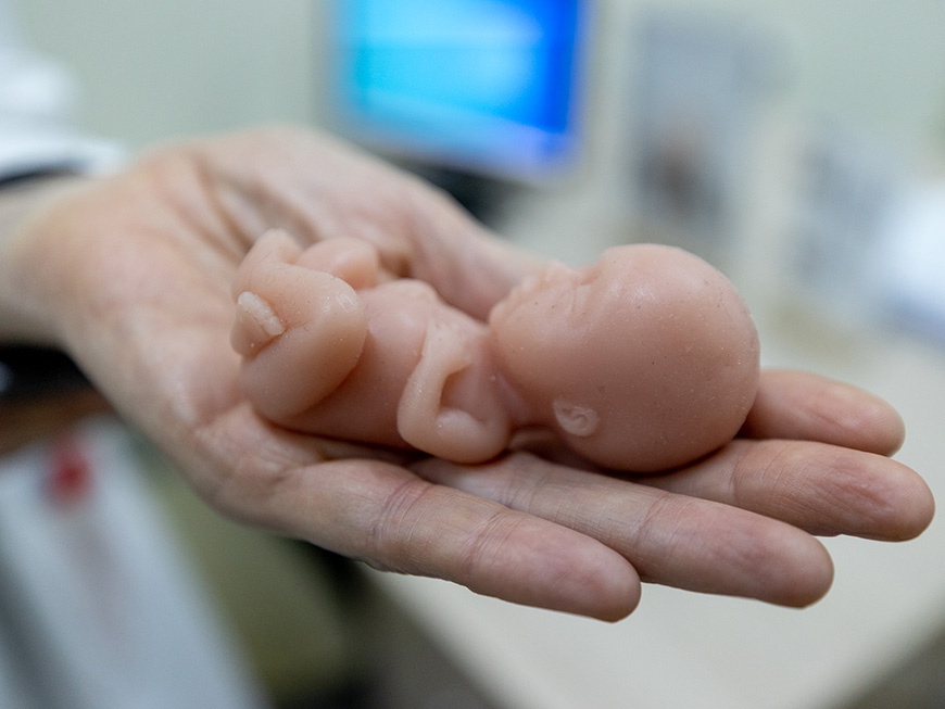 Фото: Марат Мугинов