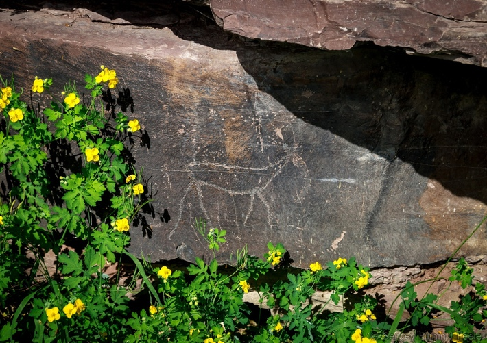 Фото: visitsiberia.info