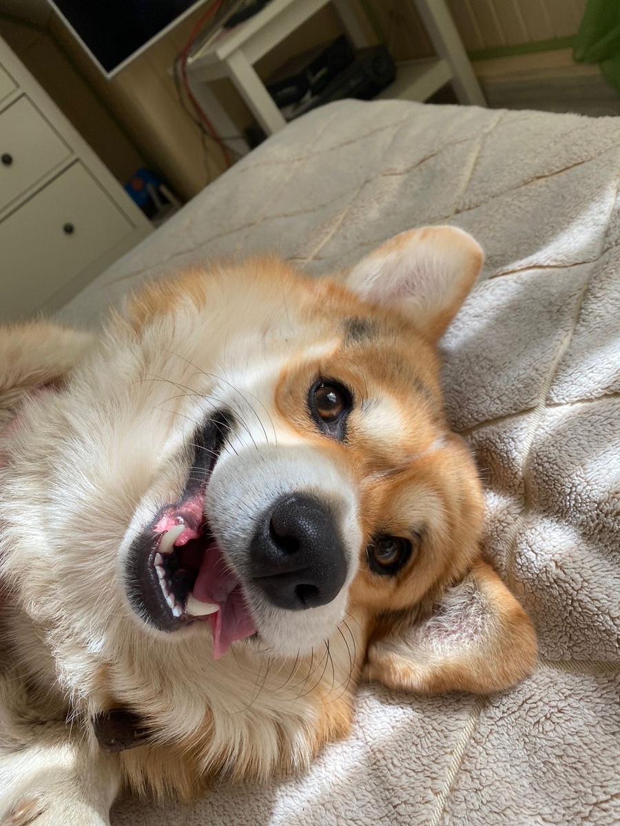 Красавчик похож на тётю Мэри… 😍