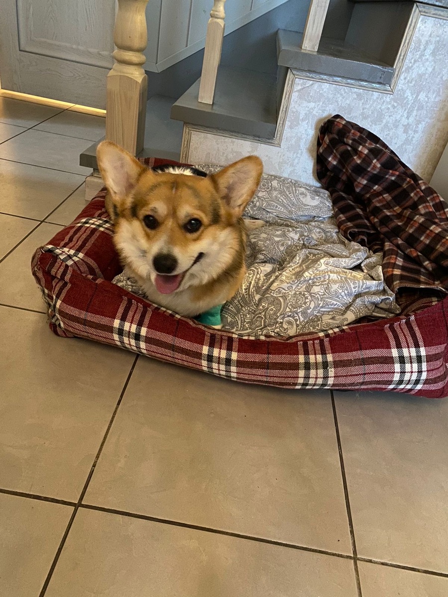 Дома после операции…