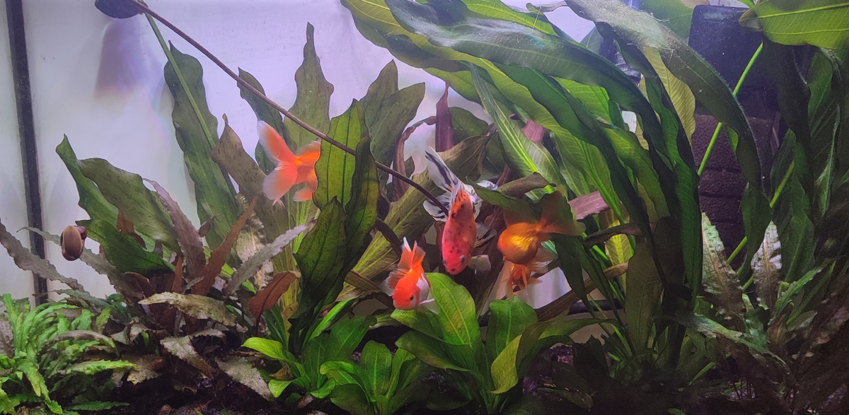 Фото: Илья Филлипов, г. Завьялово