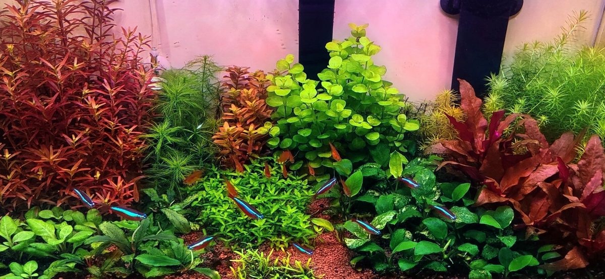 Фото: Илья Филлипов, г. Завьялово