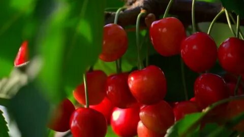 фото из свободных источников