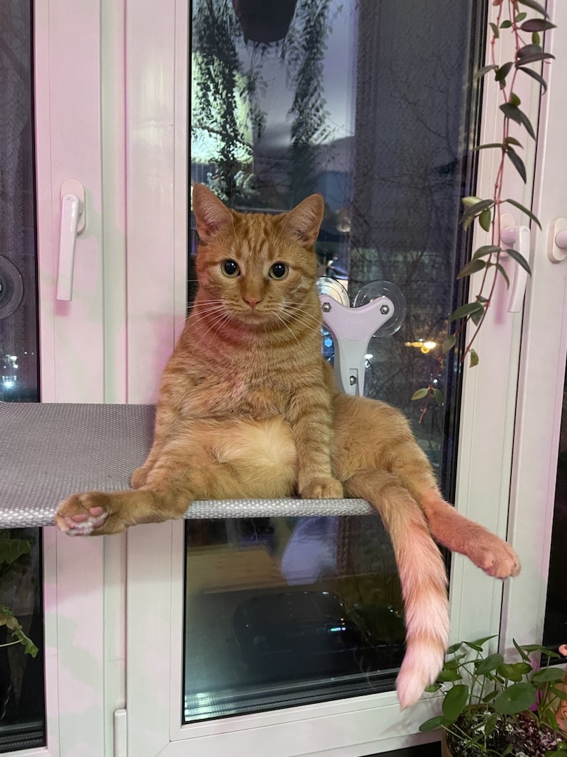 Пыжик Второй