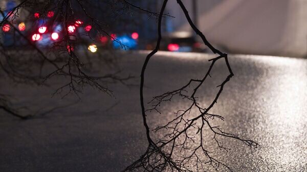    © Sputnik / Михаил Фомичев