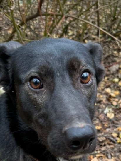 Глаза Деи - нежные и глубокие - как будто полны некой тайны, известной только ей. На фото это не очень заметно, во всяком случае, не так, как при личной встрече.