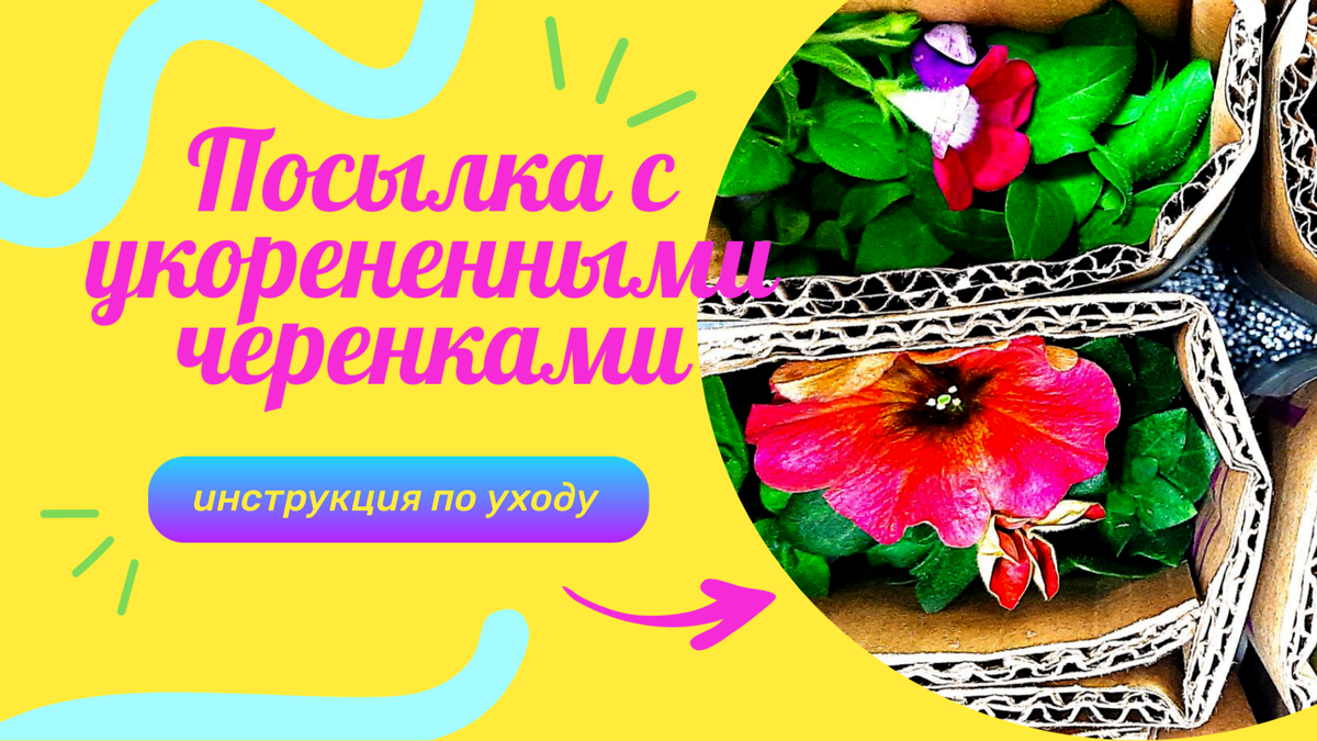 Для обложки