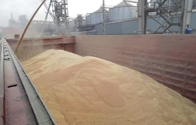 Фото: пресс-служба Ростовского филиала Центр оценки качества зерна