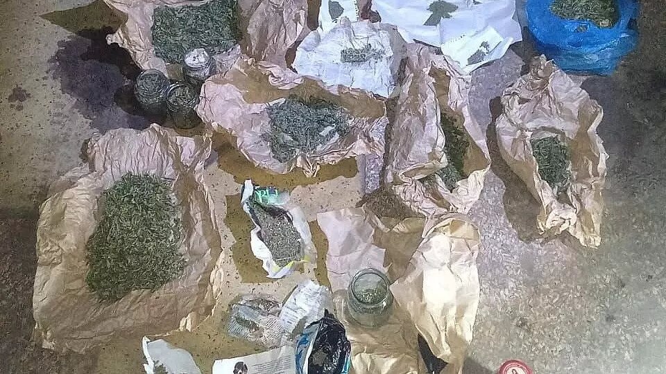     Источник: ГУ МВД России по Волгоградской области