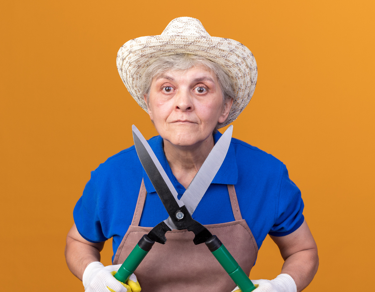 <a href="https://ru.freepik.com/free-photo/shocked-elderly-female-gardener-wearing-gardening-hat-gloves-holding-gardening-scissors-orange_14220587.htm#fromView=search&page=1&position=11&uuid=1504a78a-09ad-40cf-9cc4-668a38d1436a">Изображение от stockking на Freepik</a>