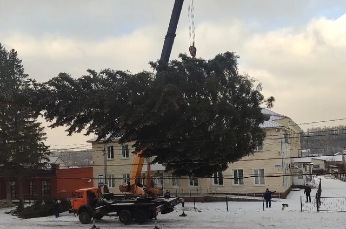    Для украшения парка в Иглино срубили елку у здания Социального фонда