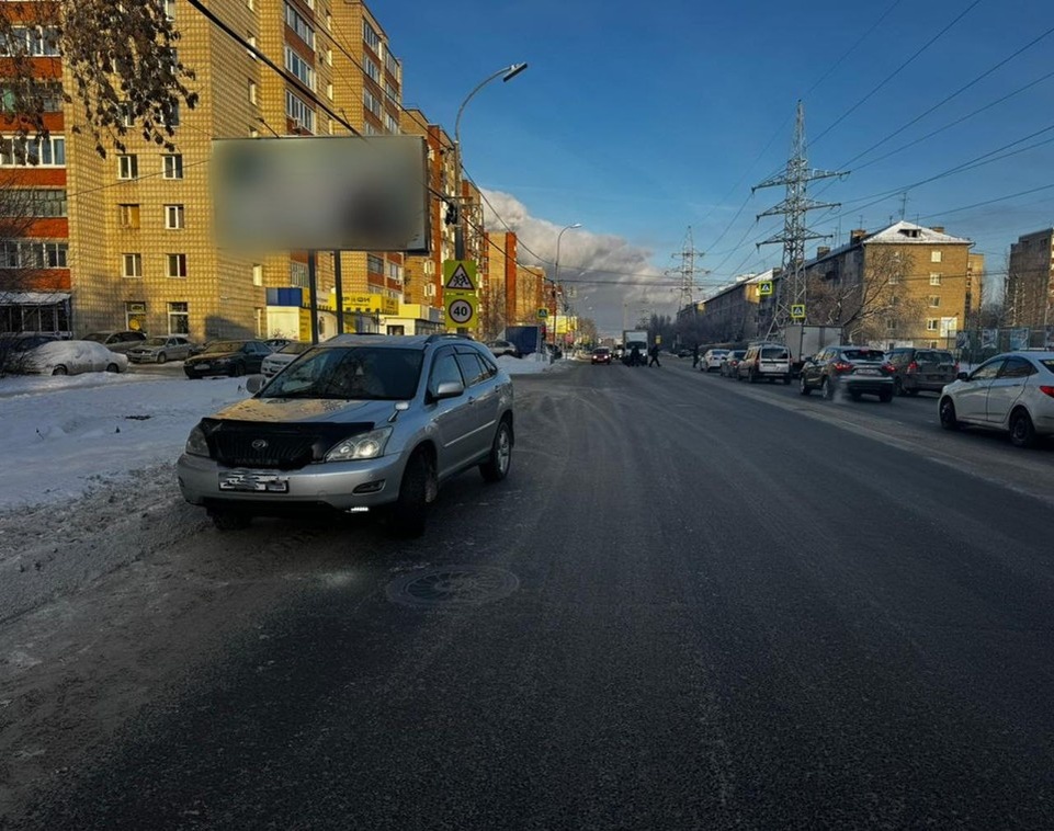    Предоставлено пресс-службой УМВД России по Томской области