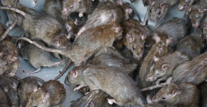 Автобус в 6 утра: