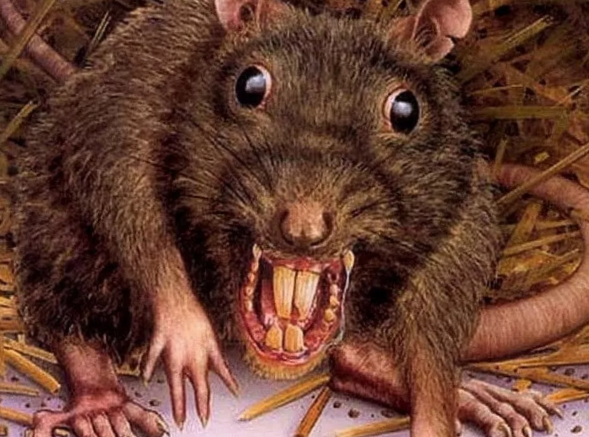 Сунь сюда пальчик, и я дам тебе премию в виде сыра