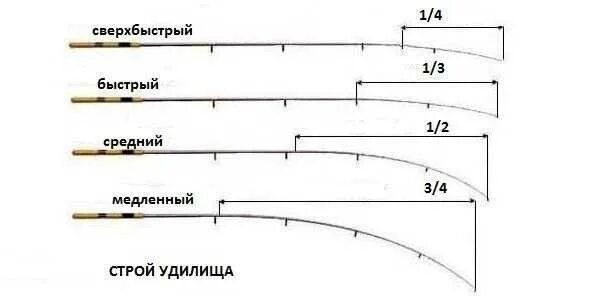 Изображение взято из открытых источников 