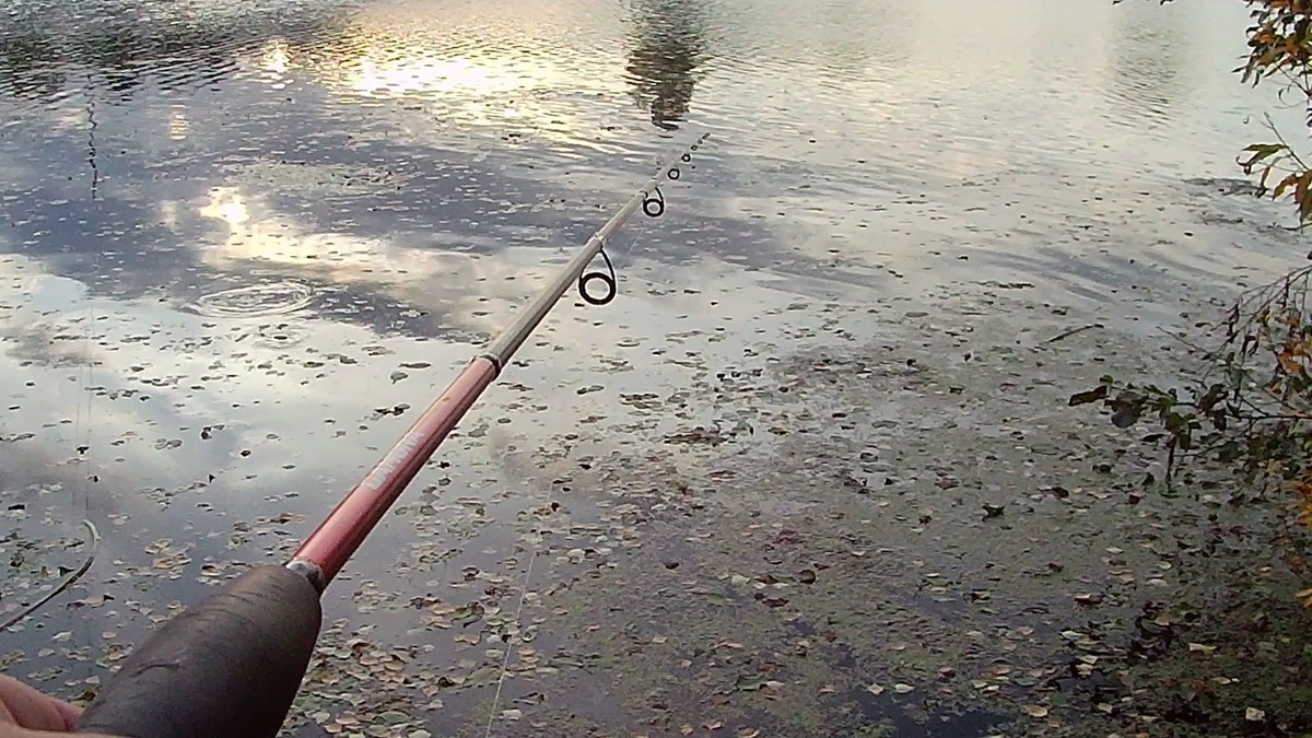 Обложка статьи 