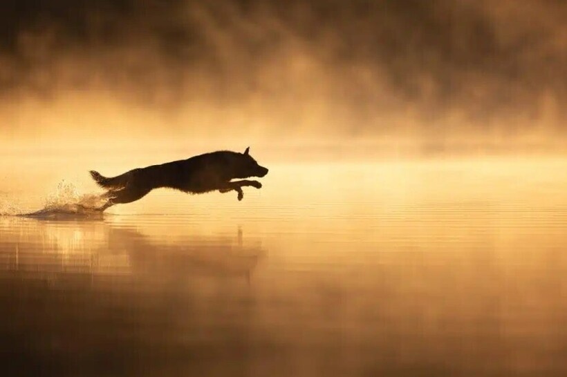    Anastasia Vetkovskaya