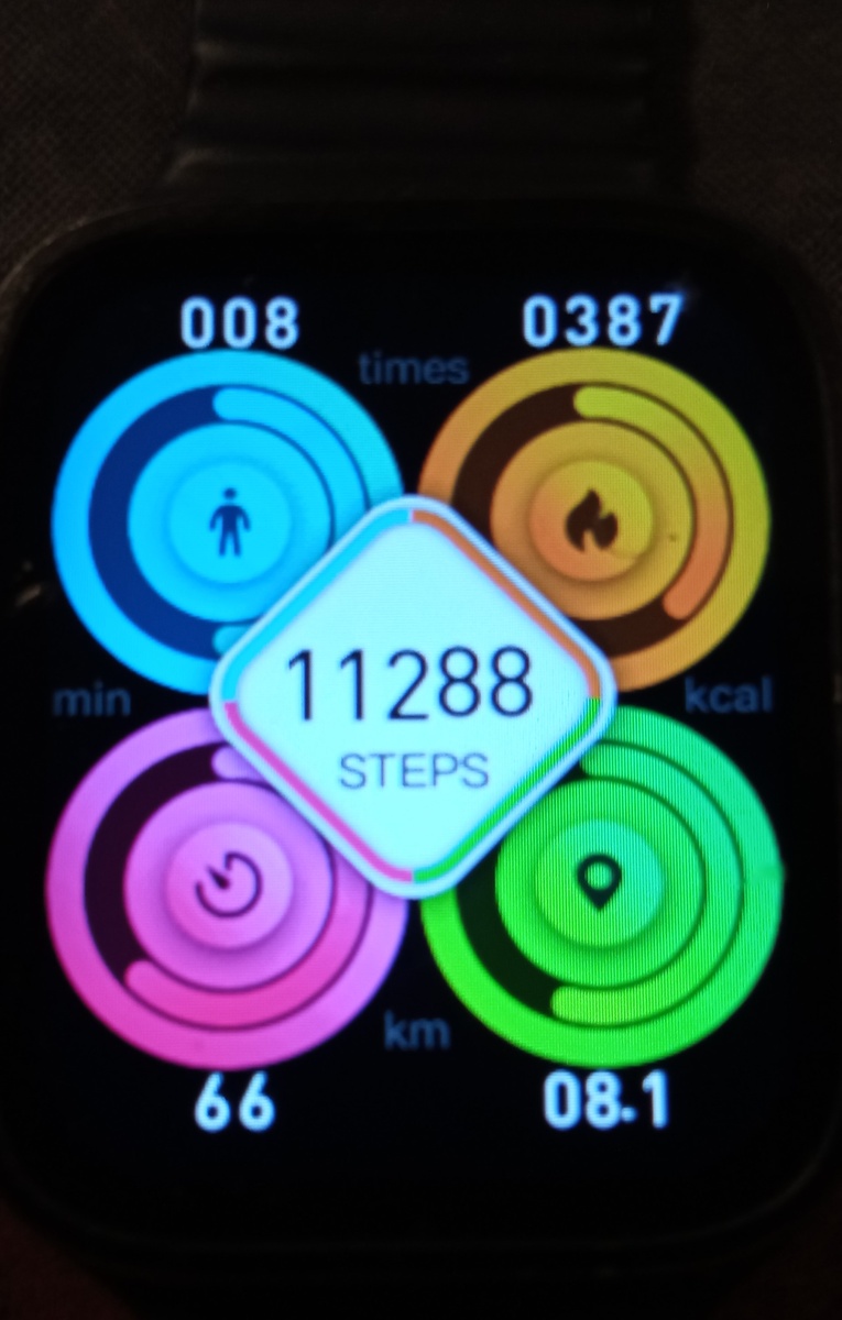 Фото автора. 09.12.2024 г.