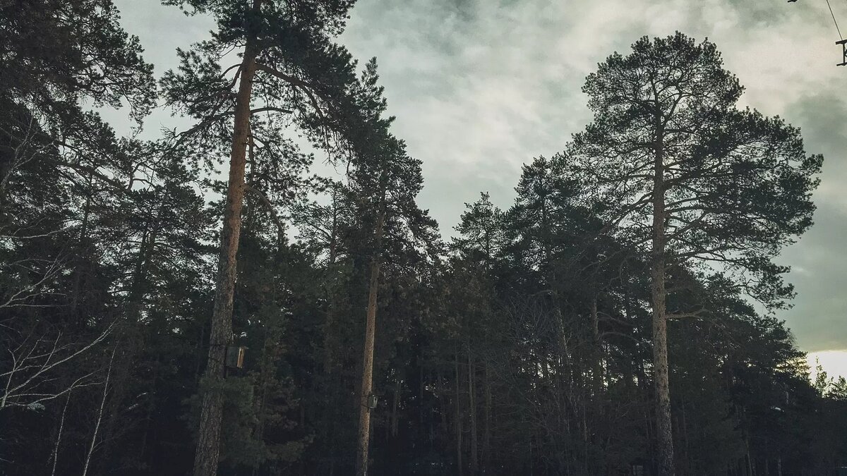     Источник: 1MI