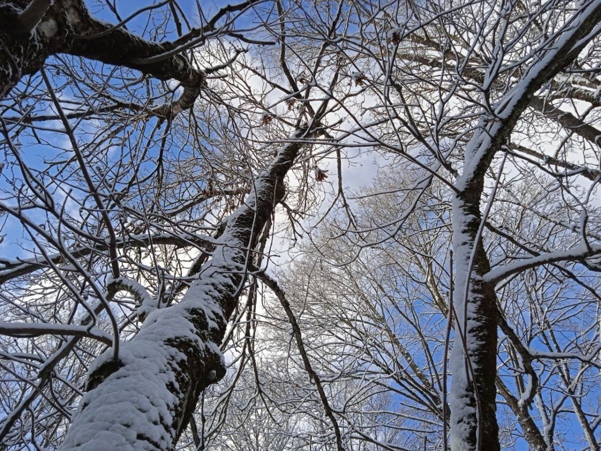   ГТРК "Ставрополье"