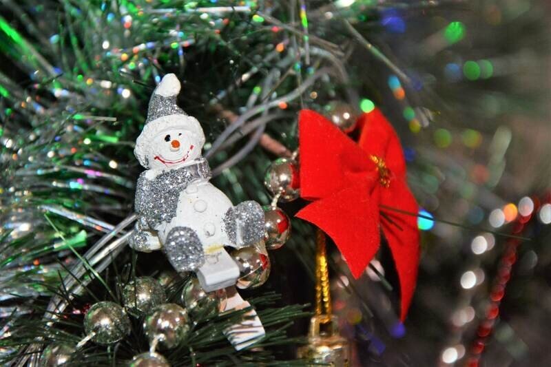 Фото: Гала Амарандо