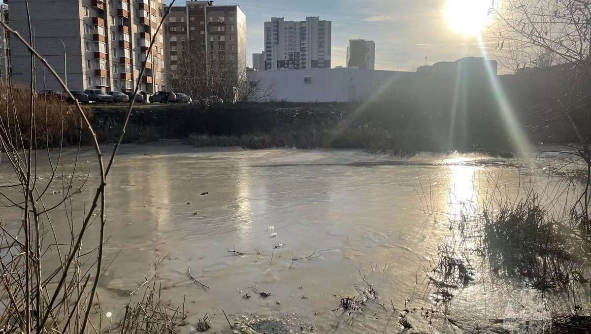     Источник: МЧС Удмуртии