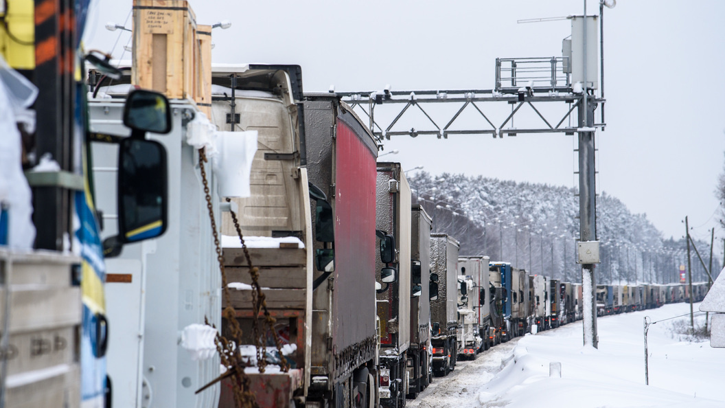    Фото: Ilya Moskovets/URA.RU/Globallookpress