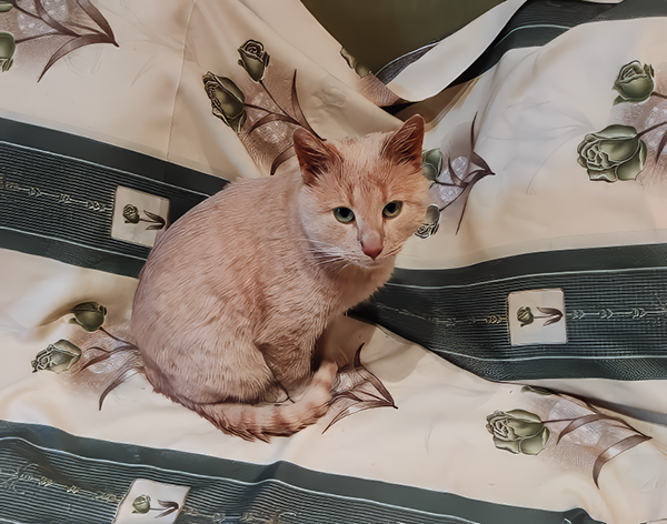 Не знаю, почему на этом фото у него разные глаза