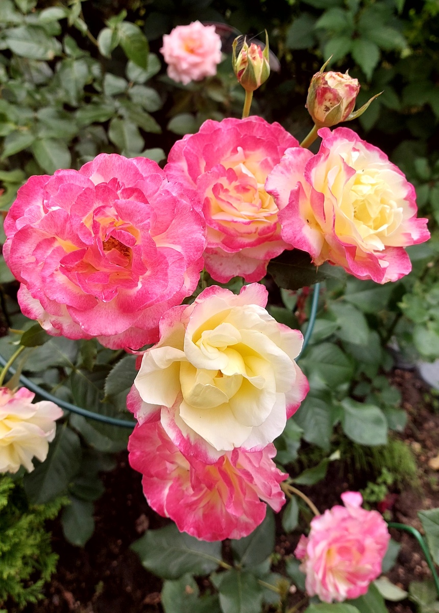 Кто-нибудь, заберите у неё косметичку!) 