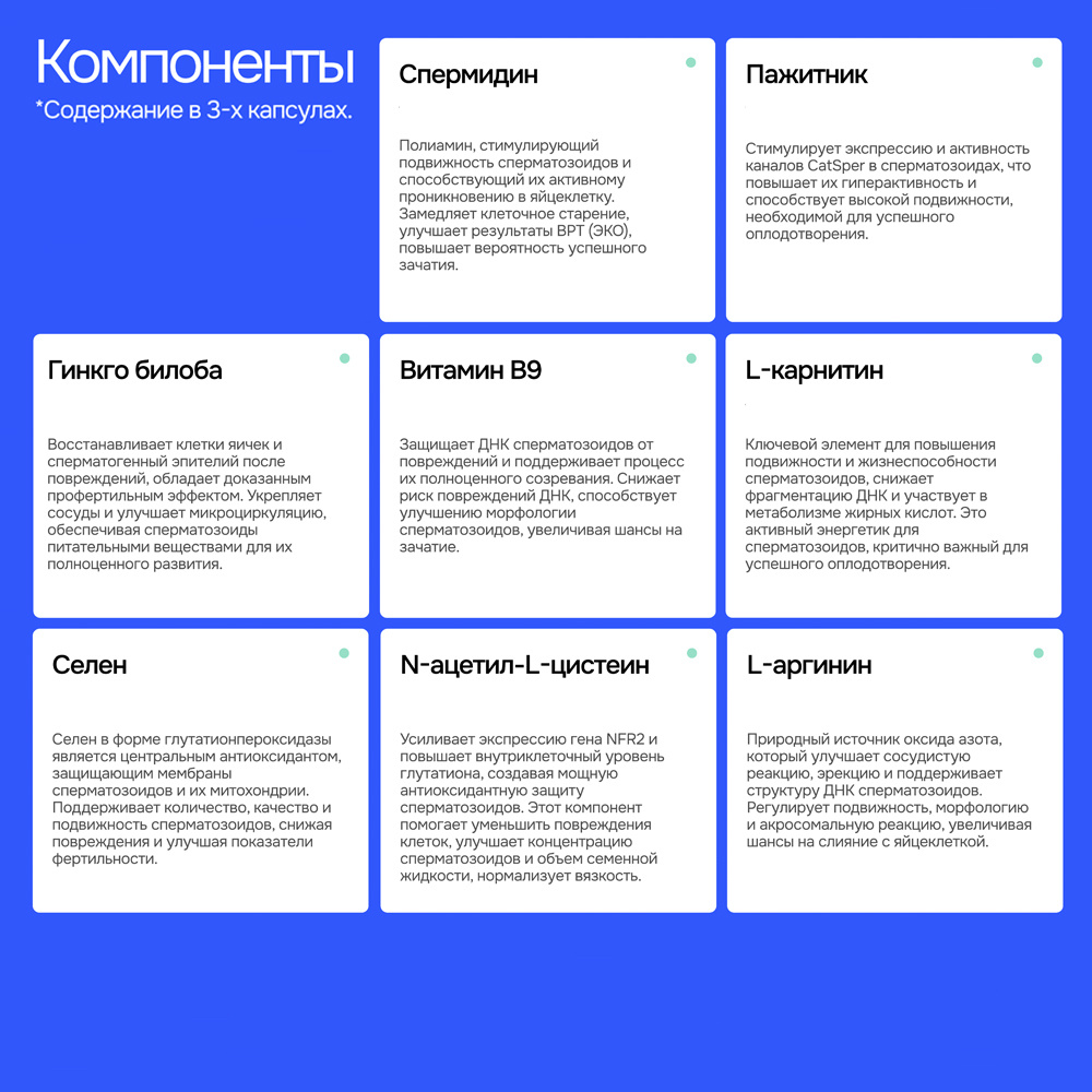 Состав Репровитум