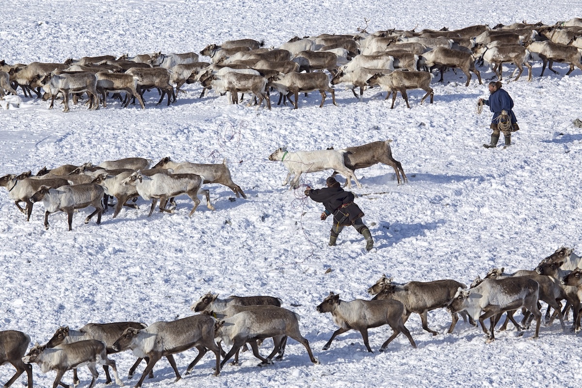Фото: Сергей Карпухин / GeoPhoto