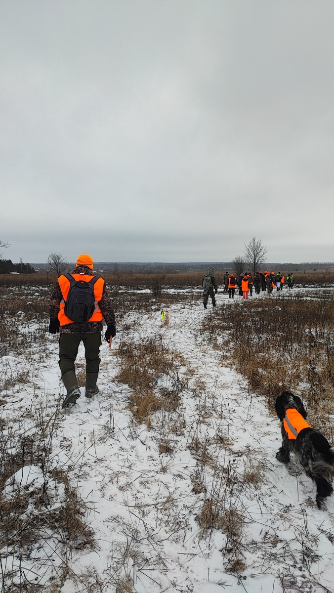 Идем в загон