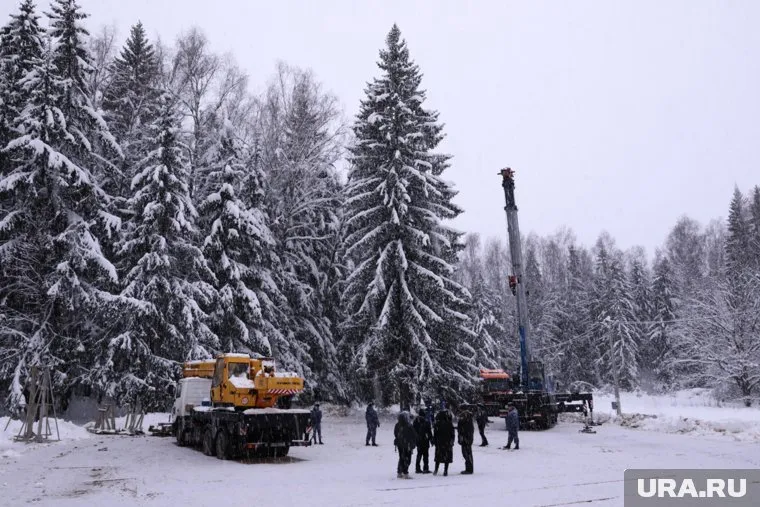 Лесничему, нашедшему елку, вручили новую машину
Фото: Роман Наумов © URA.RU