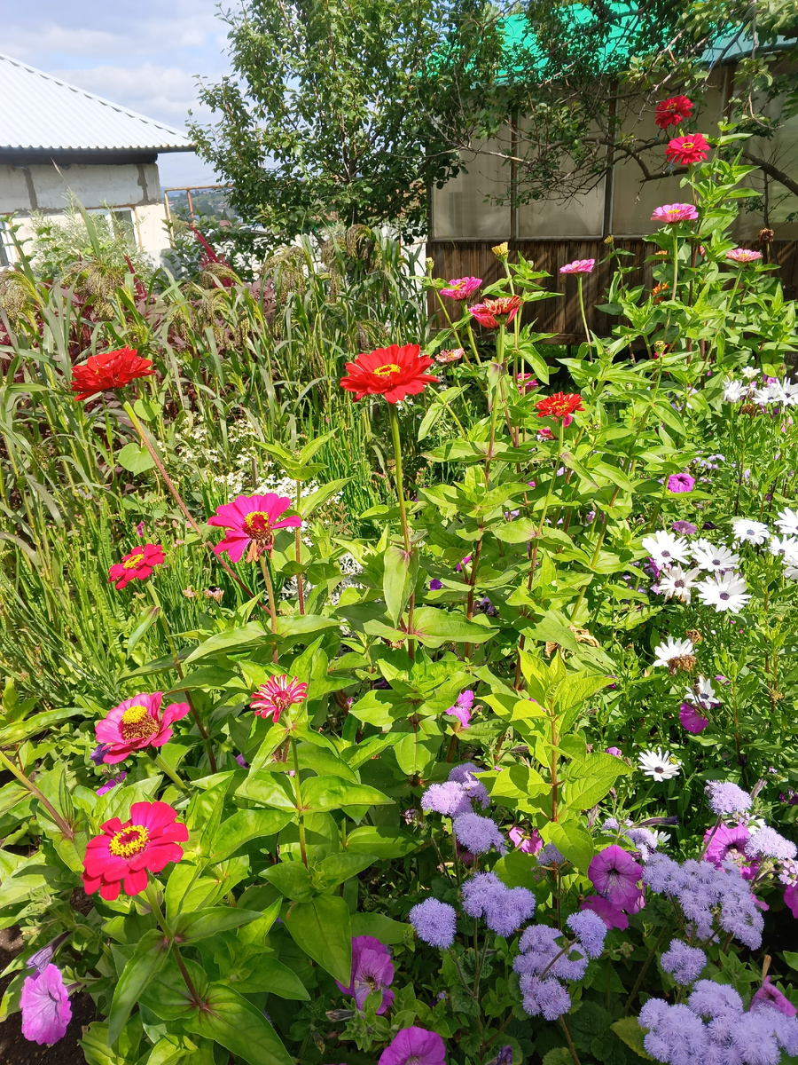 Цветочная композиция - воплощение гармонии и красоты