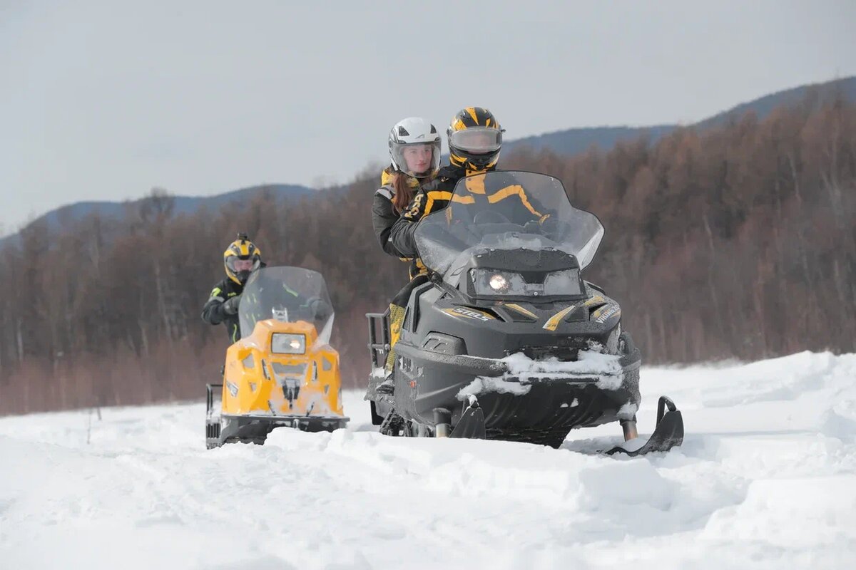   Утилитарные снегоходы сочетают высокую проходимость, грузоподъемность и неубиваемость. Возможно, за счет некоторой потери комфорта и динамичности.Stels