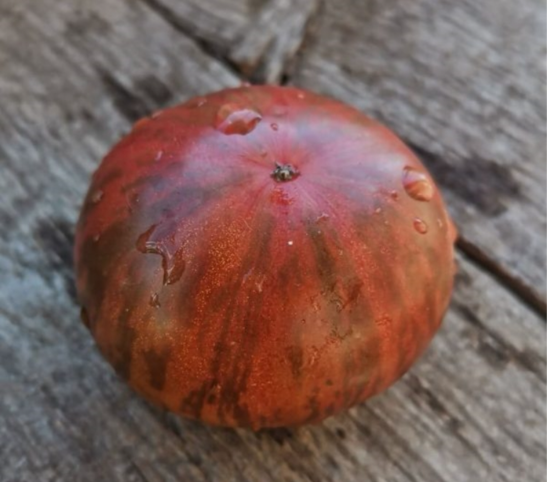 Фото с сайта Stroy-podskazka.ru