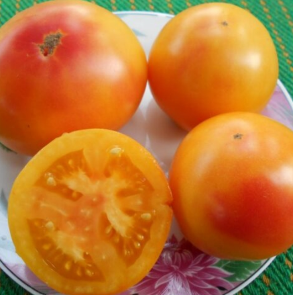 Фото с сайта Stroy-podskazka.ru